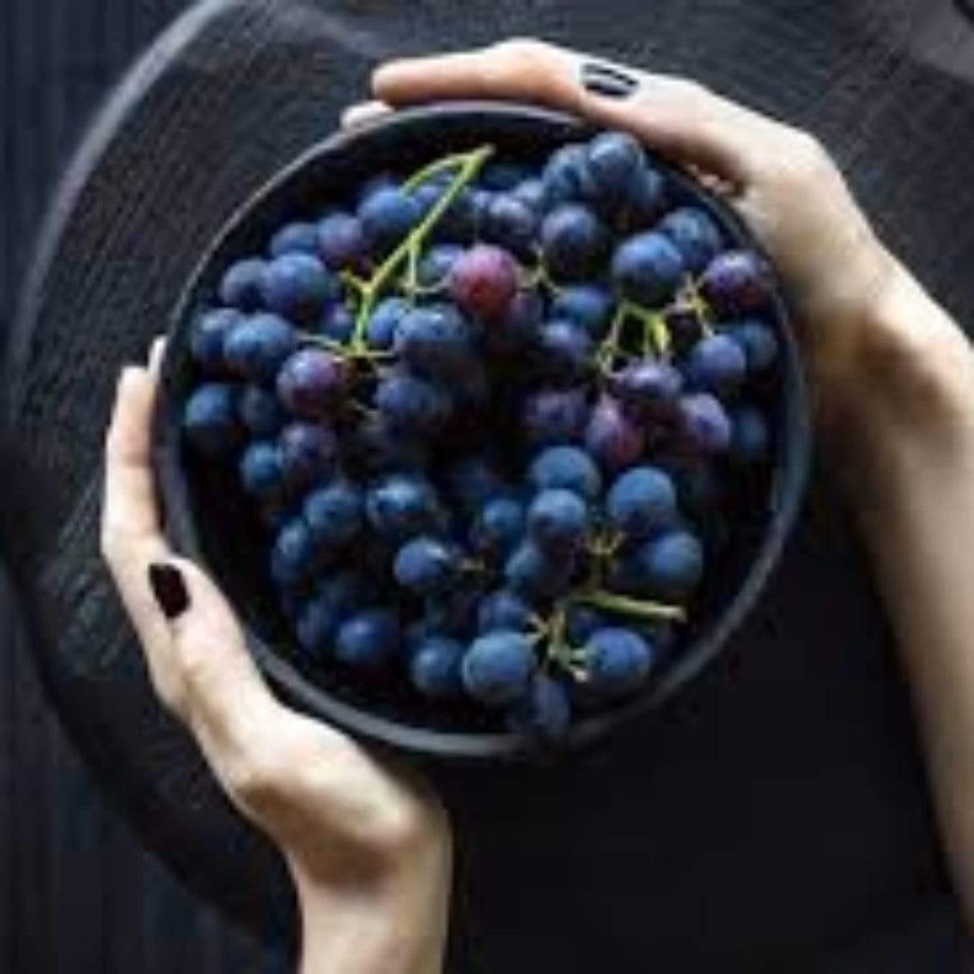 'Vanessa' Seedless Outdoor Grape Vine 5 'Vanessa' Seedless Outdoor Grape Vine - Image 3