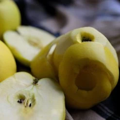 Herefordshire Russet Apple Tree -Roots Plants FRU0200 2