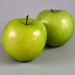 Granny Smith Apple Tree -Roots Plants FRU0227 3