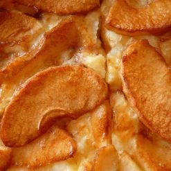 Bramley's Seedling Cordon Apple Tree 7 Bramley's Seedling Cordon Apple Tree -Roots Plants FRU0258 4 42cffabe a4d3 4601 9d07 886e881b0539