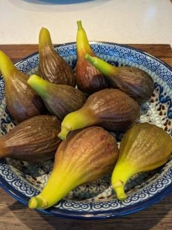 The 3 Best Fruit Trees For Small Gardens | Apple, Cherry & Fig -Roots Plants PXL 20210725 093150100 900x 6592a685 9ff1 4a34 9ef0 39ad397acba9