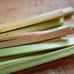 'Victoria' Rhubarb Plant -Roots Plants VEG0187 3