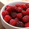 Boysenberry Bush | Rubus -Roots Plants boysenberry 1