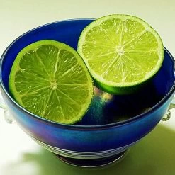 Lime Tree | Lime Of Tahiti | Grafted Mini-Stem 9 Lime Tree | Lime Of Tahiti | Grafted Mini-Stem -Roots Plants limetree4