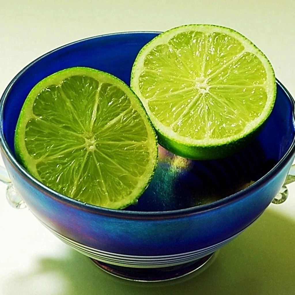 Lime Tree | Lime Of Tahiti | Grafted Mini-Stem 5 Lime Tree | Lime Of Tahiti | Grafted Mini-Stem - Image 3